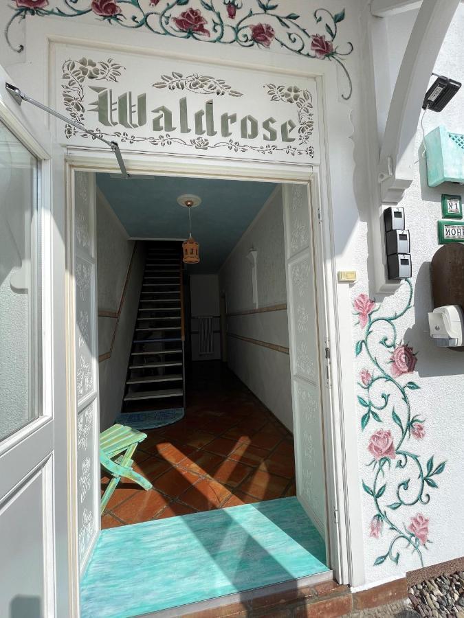 Villa Waldrose Binz Kültér fotó